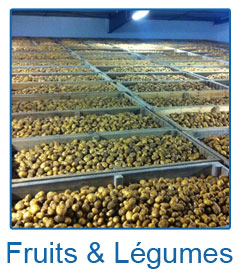 Accéder à la catégorie Fruits et Légumes de Hygro Control